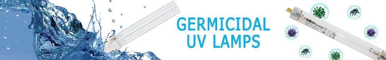 Brighten Your World for Less